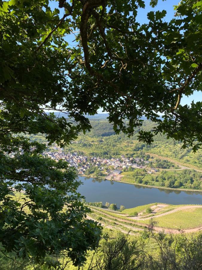 Ferienwohnungen Und Gaestezimmer Peter Busch Bernkastel-Kues Exterior foto