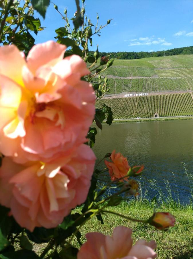 Ferienwohnungen Und Gaestezimmer Peter Busch Bernkastel-Kues Exterior foto