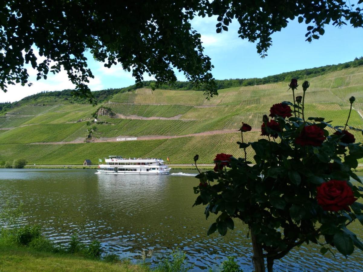Ferienwohnungen Und Gaestezimmer Peter Busch Bernkastel-Kues Exterior foto
