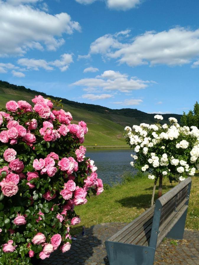 Ferienwohnungen Und Gaestezimmer Peter Busch Bernkastel-Kues Exterior foto