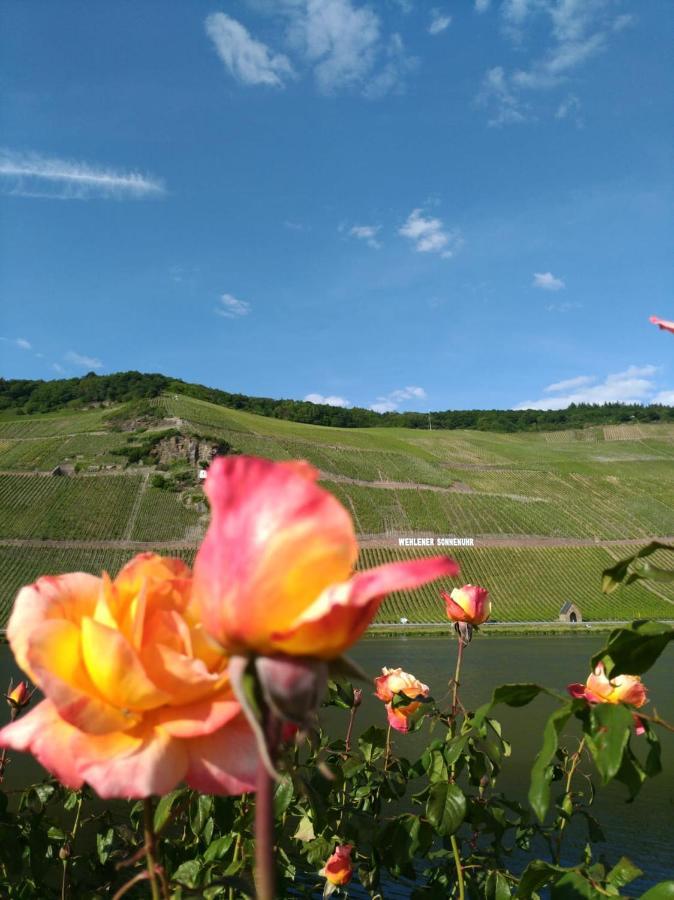 Ferienwohnungen Und Gaestezimmer Peter Busch Bernkastel-Kues Exterior foto