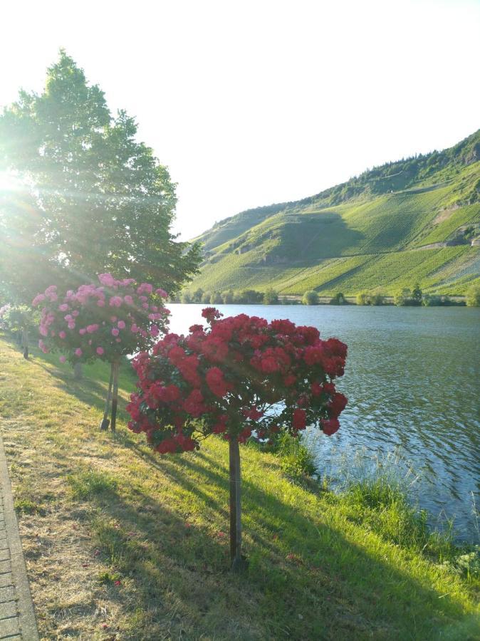Ferienwohnungen Und Gaestezimmer Peter Busch Bernkastel-Kues Exterior foto