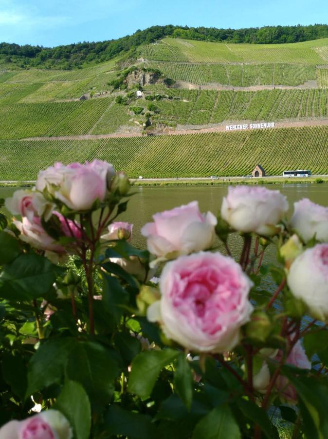 Ferienwohnungen Und Gaestezimmer Peter Busch Bernkastel-Kues Exterior foto