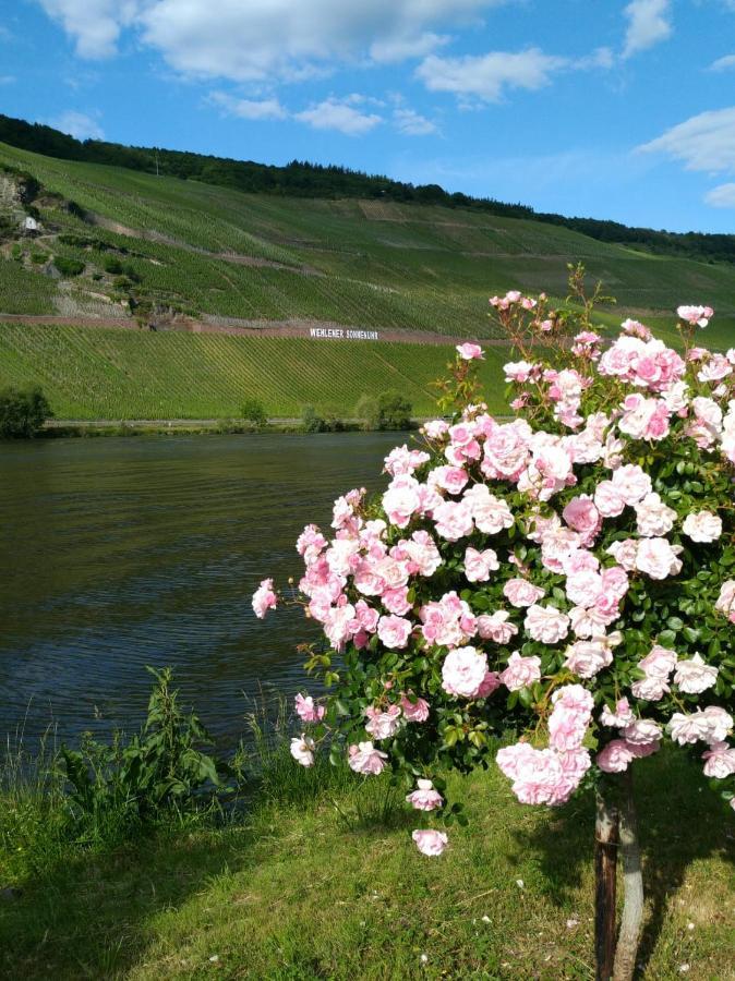 Ferienwohnungen Und Gaestezimmer Peter Busch Bernkastel-Kues Exterior foto